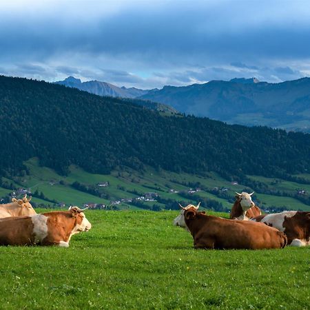 Ferienwohnung Bergpfote - Hund Herzlich Willkommen Scheidegg Ngoại thất bức ảnh