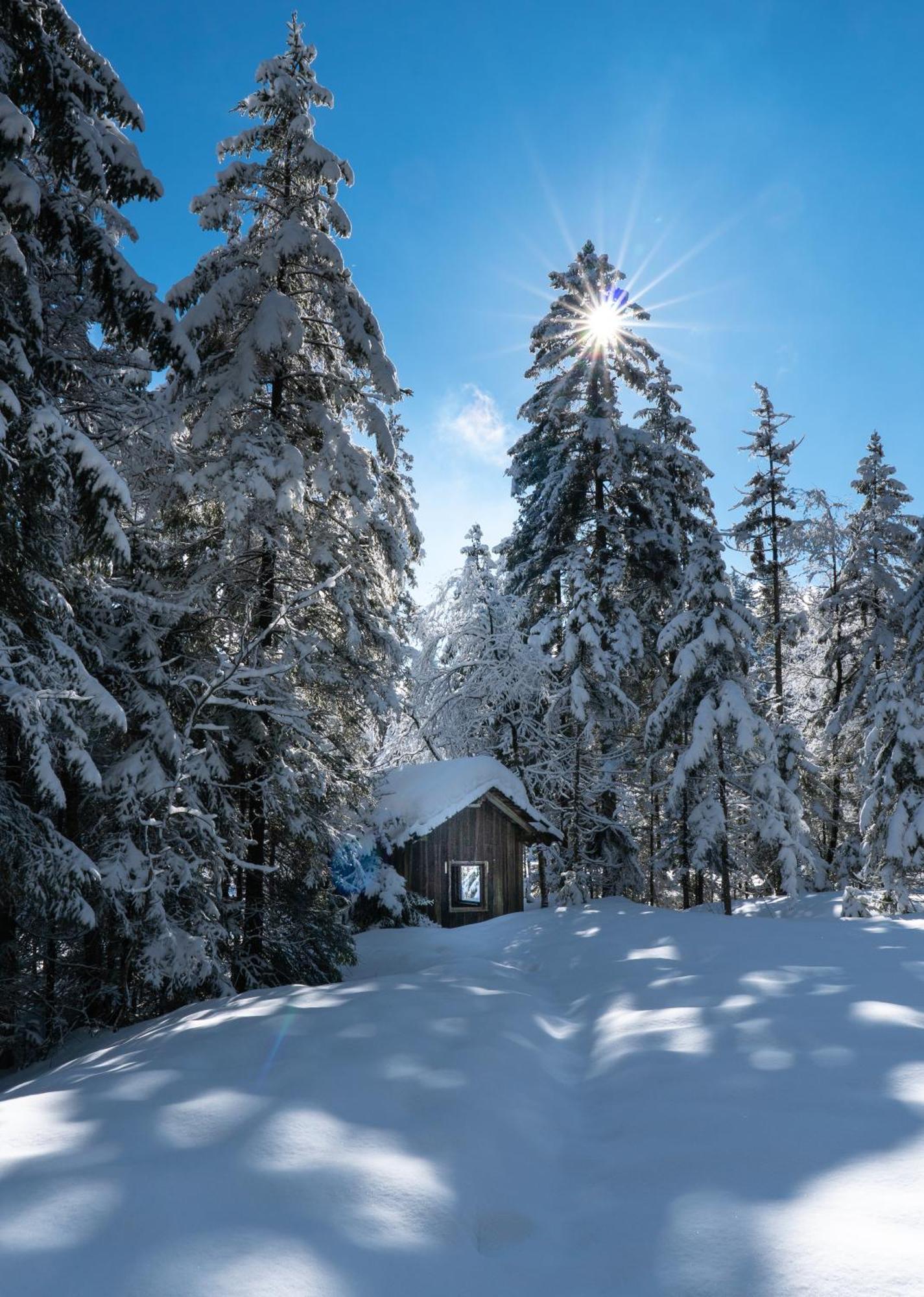Ferienwohnung Bergpfote - Hund Herzlich Willkommen Scheidegg Ngoại thất bức ảnh