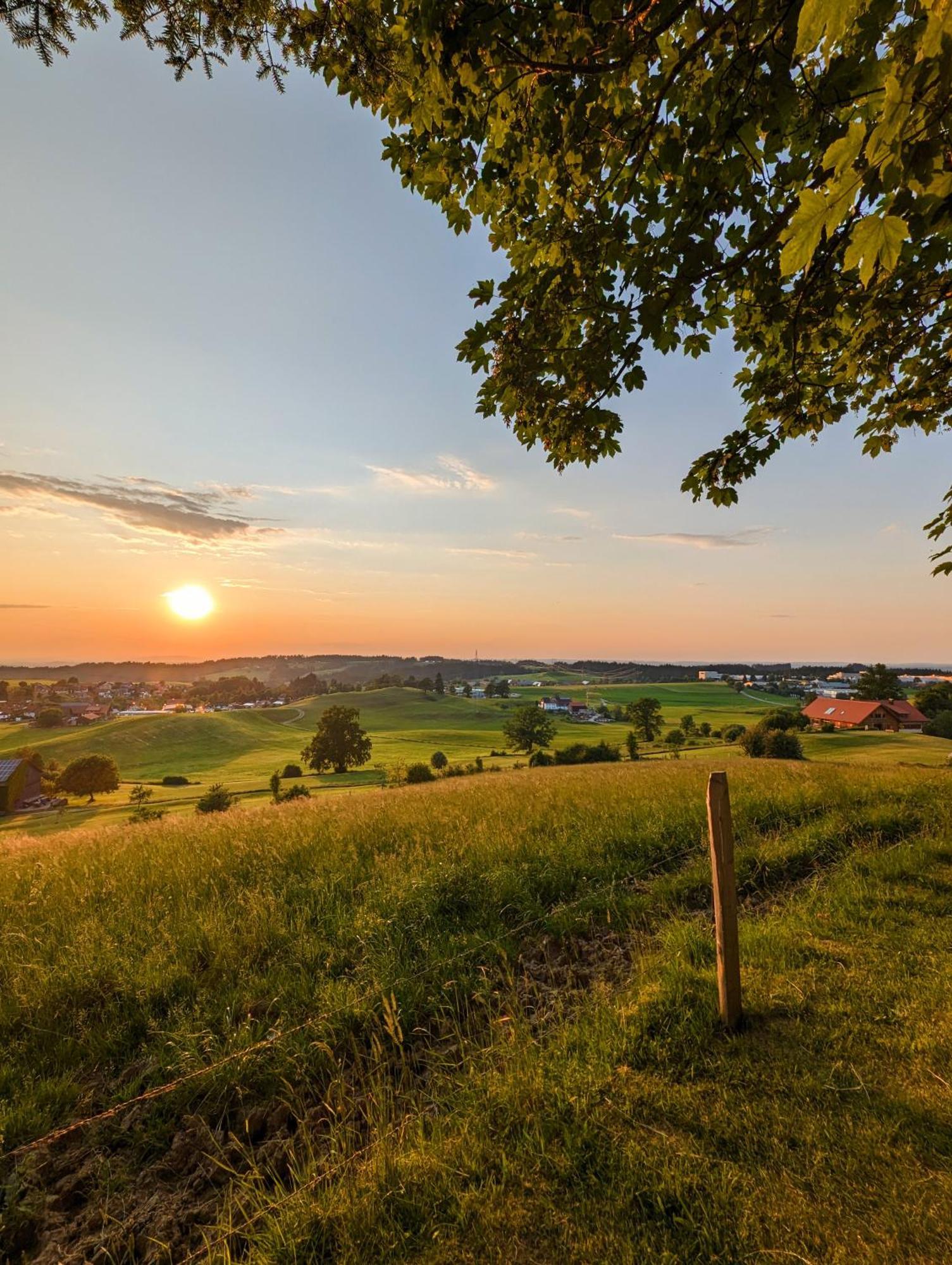 Ferienwohnung Bergpfote - Hund Herzlich Willkommen Scheidegg Ngoại thất bức ảnh